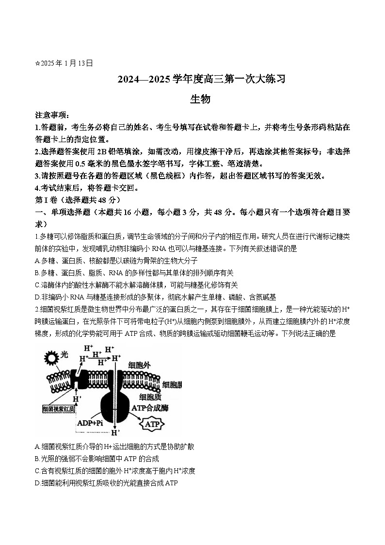 2025三门峡高三上学期第一次大练习试题(期末)生物含解析第1页