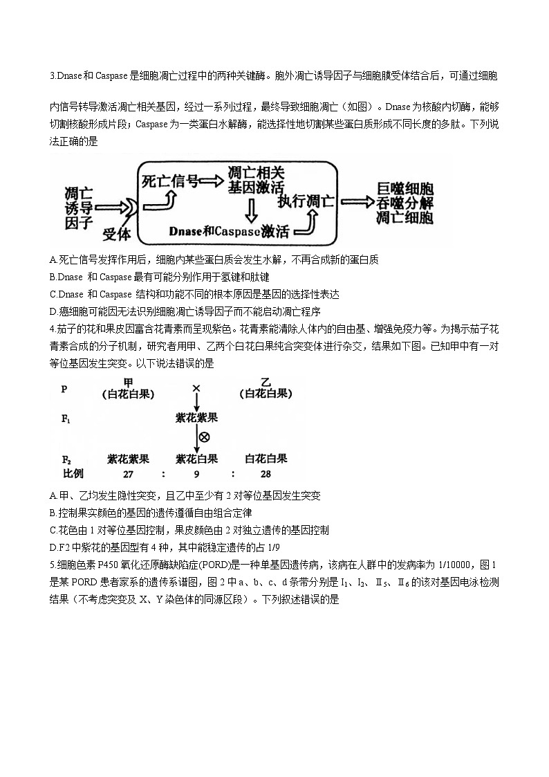 2025三门峡高三上学期第一次大练习试题(期末)生物含解析第2页