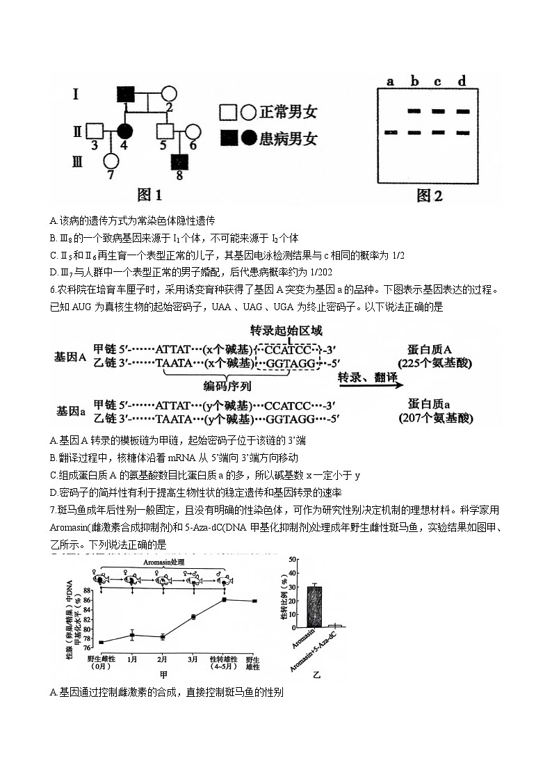 2025三门峡高三上学期第一次大练习试题(期末)生物含解析第3页
