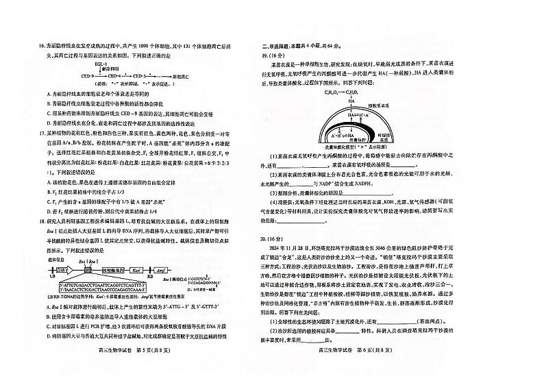 2025湖北省部分市州高三上学期1月期末联考试题生物PDF版含解析第3页