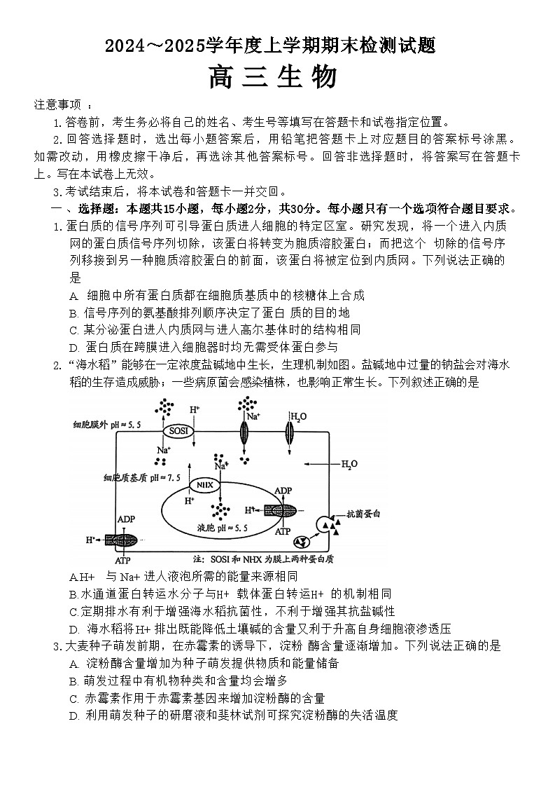 山东省潍坊市2024-2025学年高三上学期1月期末生物试题(含答案)第1页