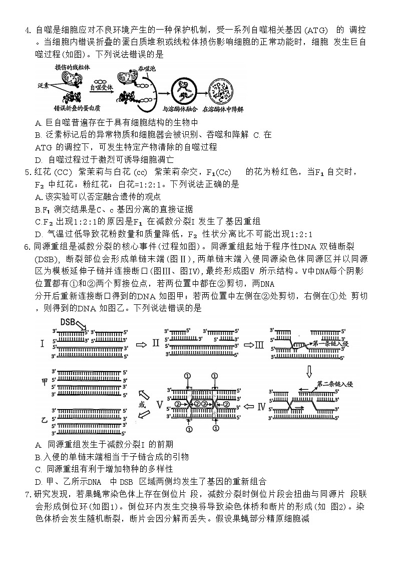 山东省潍坊市2024-2025学年高三上学期1月期末生物试题(含答案)第2页