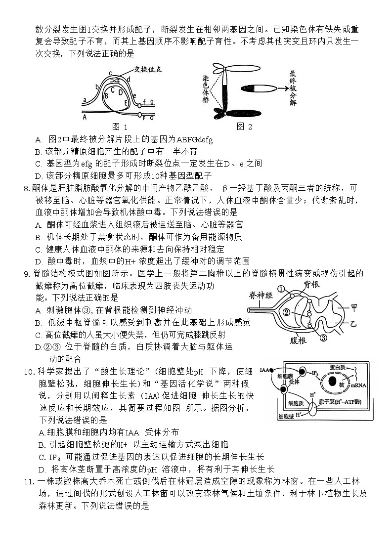 山东省潍坊市2024-2025学年高三上学期1月期末生物试题(含答案)第3页