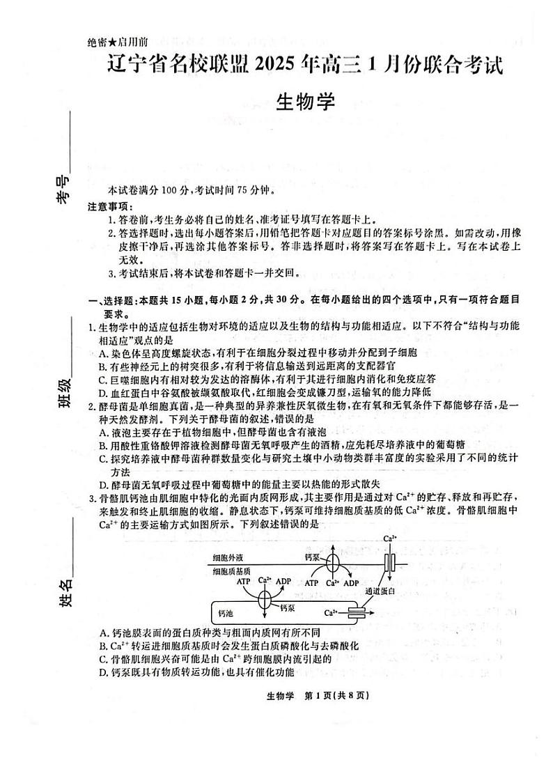 2025辽宁省名校联盟高三上学期1月份联合考试生物PDF版含解析第1页