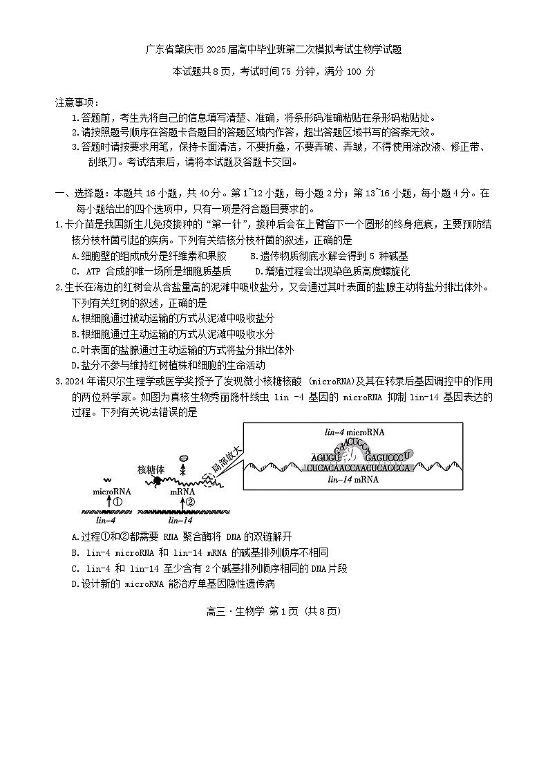 广东省肇庆市2025届高中毕业班第二次模拟考试生物学试题(含答案)第1页