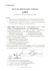 广东省肇庆市2025届高中毕业班高考第二次模拟考试生物学试卷
