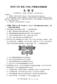 湖北省武汉市武昌区2025届高三年级上学期期末质量检测生物试题