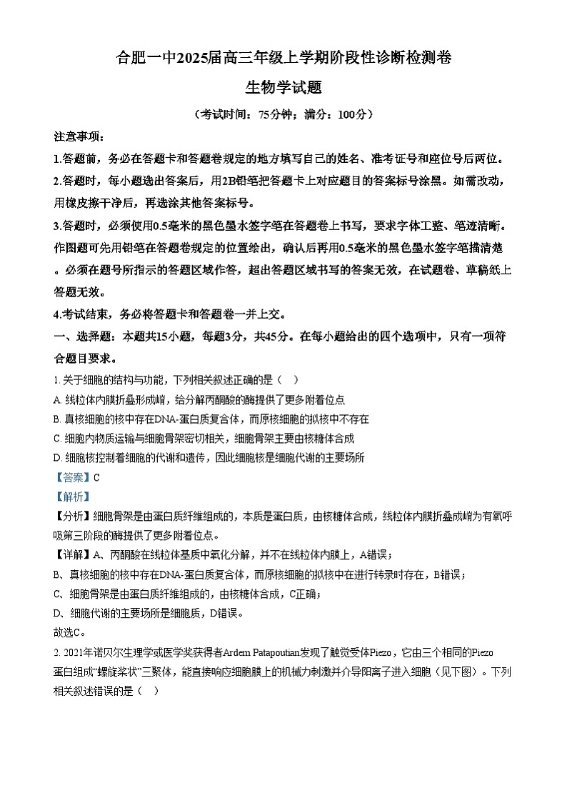 安徽省合肥市第一中学2024-2025学年高三上学期12月诊断检测生物试题含解析第1页
