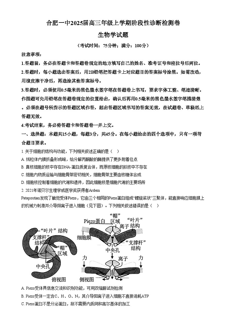 安徽省合肥市第一中学2024-2025学年高三上学期12月诊断检测生物试题无答案第1页