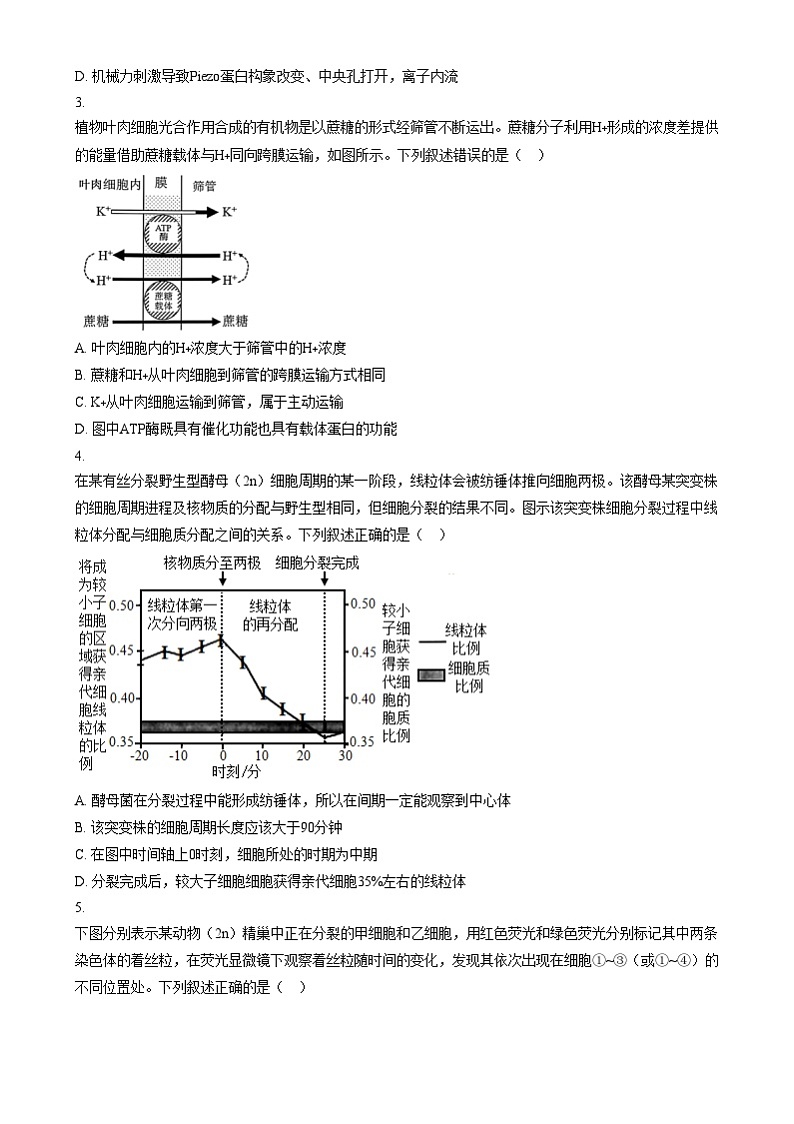 安徽省合肥市第一中学2024-2025学年高三上学期12月诊断检测生物试题无答案第2页