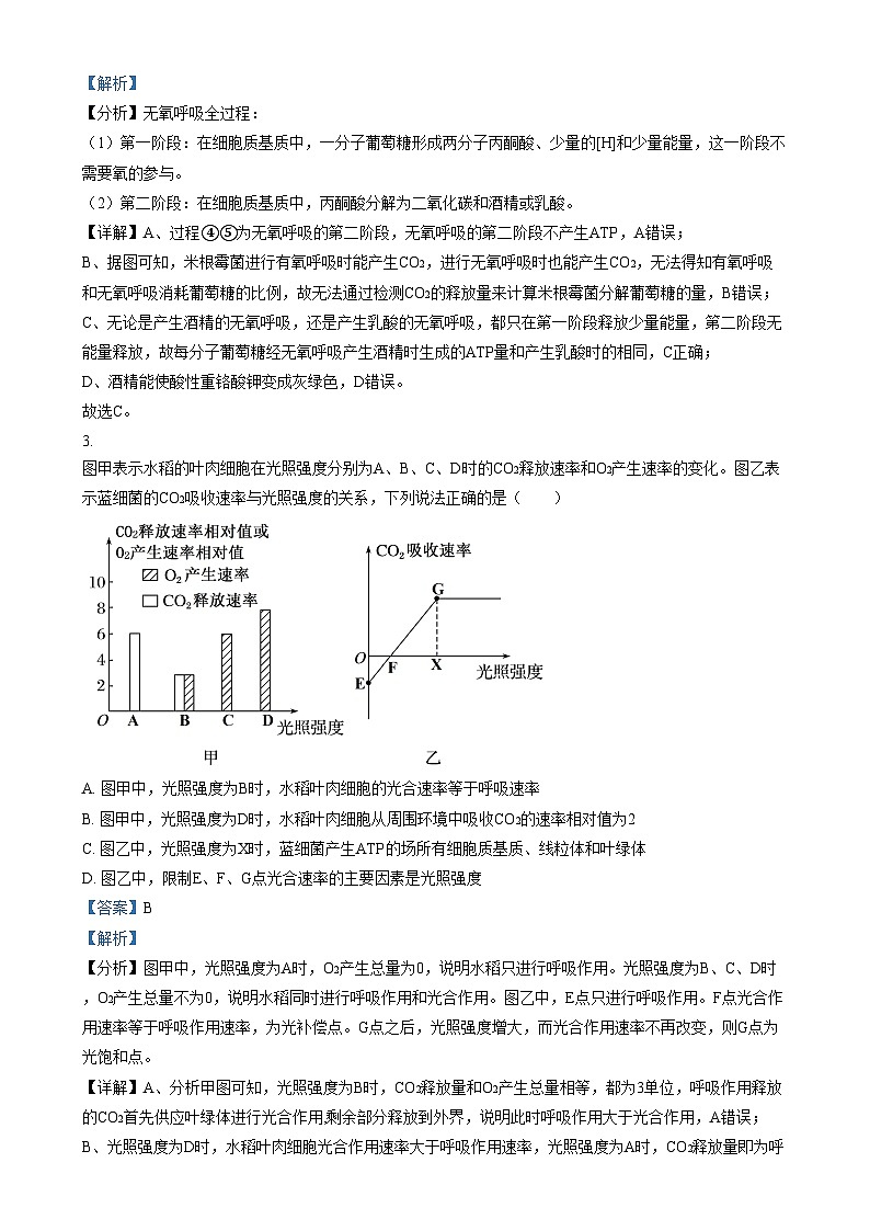 安徽省亳州市第二完全中学2024—2025学年高二上学期12月月考生物试题含解析第2页