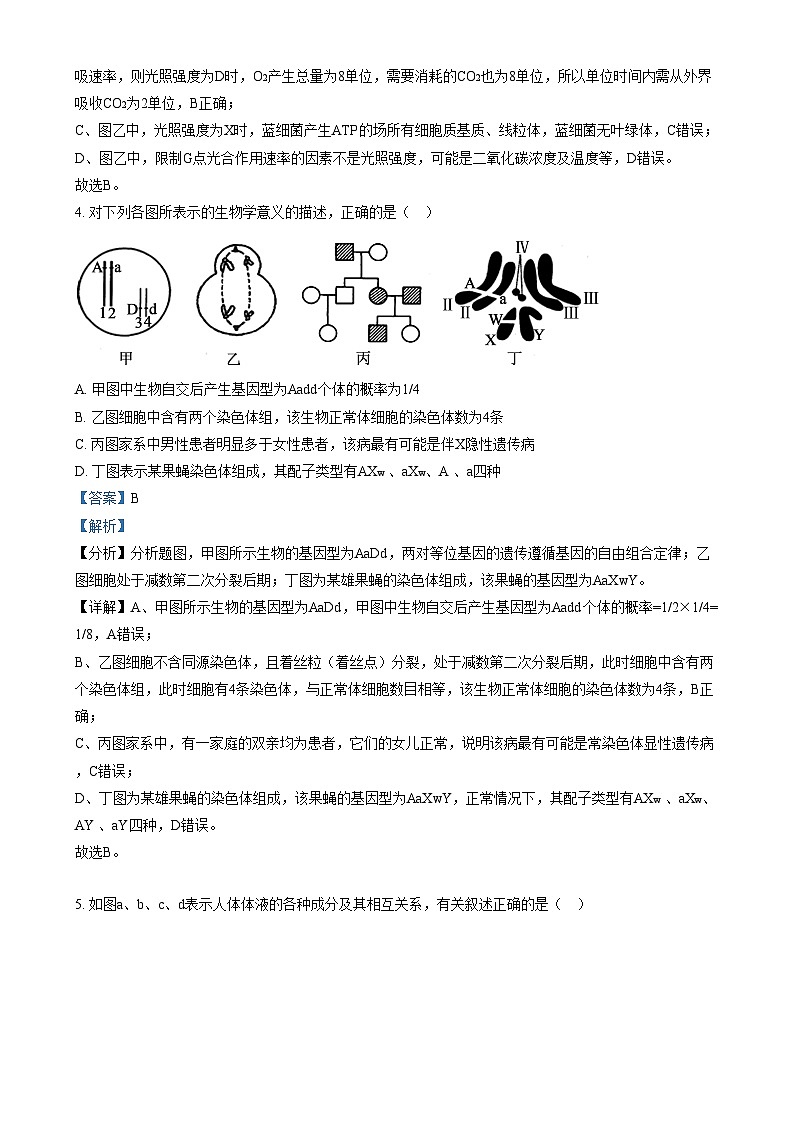 安徽省亳州市第二完全中学2024—2025学年高二上学期12月月考生物试题含解析第3页