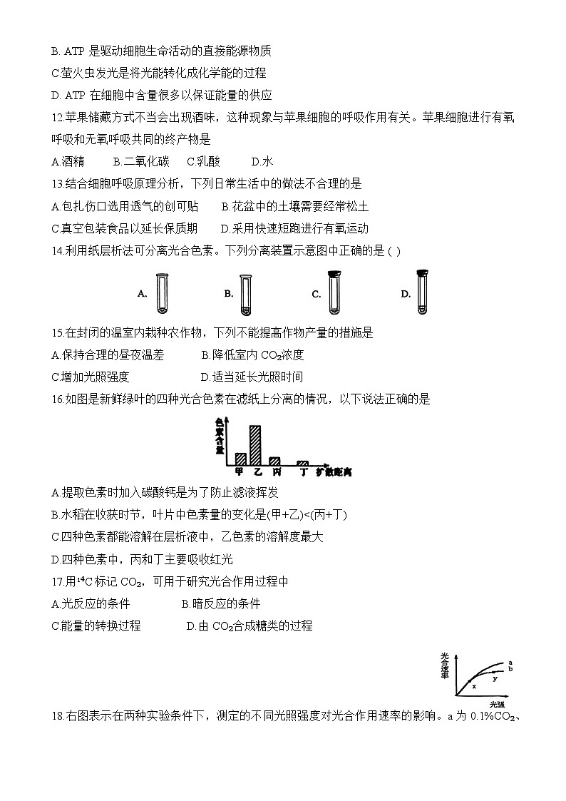 北京市清华附中2024-2025学年高一上学期期末考试生物学试题第3页