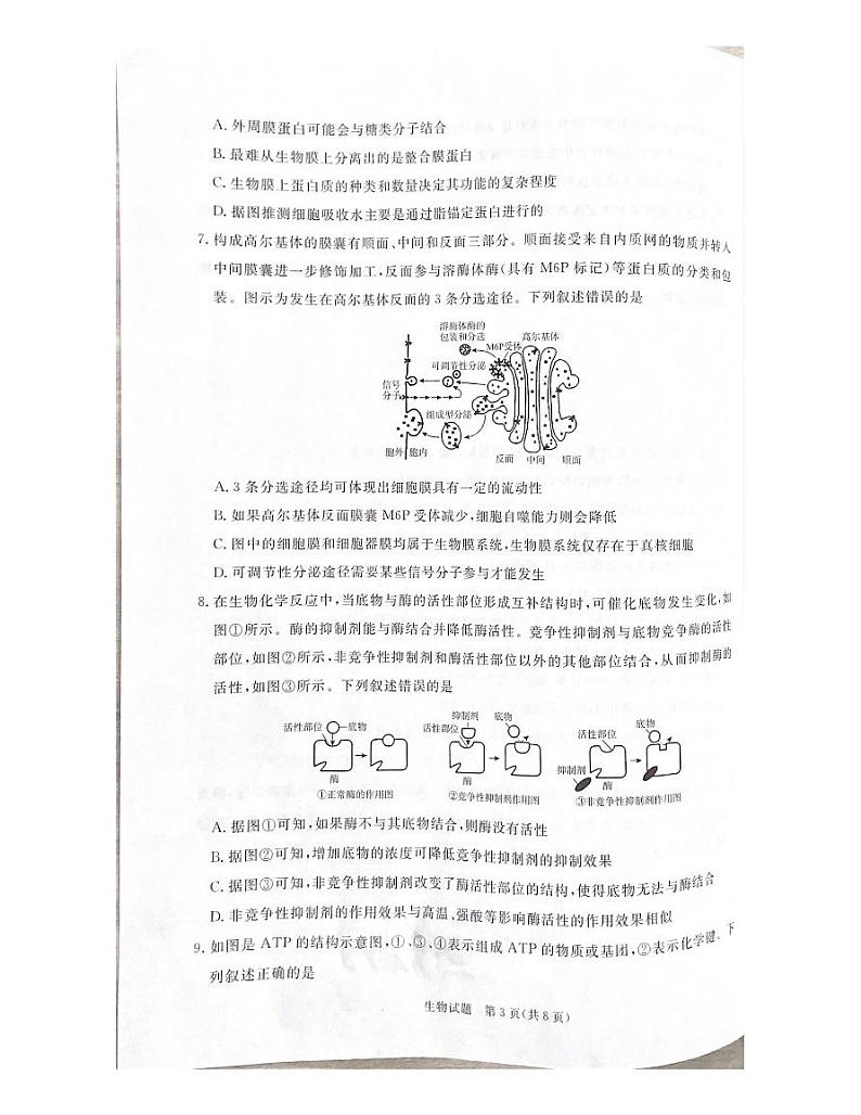 生物-河南省青桐鸣2024-2025学年高一上学期期末试题第3页