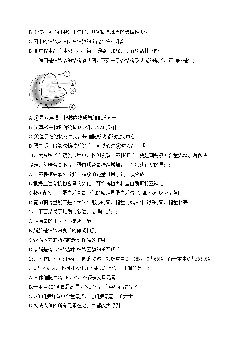 河南省叶县高级中学2024-2025学年高一上学期期末考前模拟卷生物基础卷(含答案)第3页