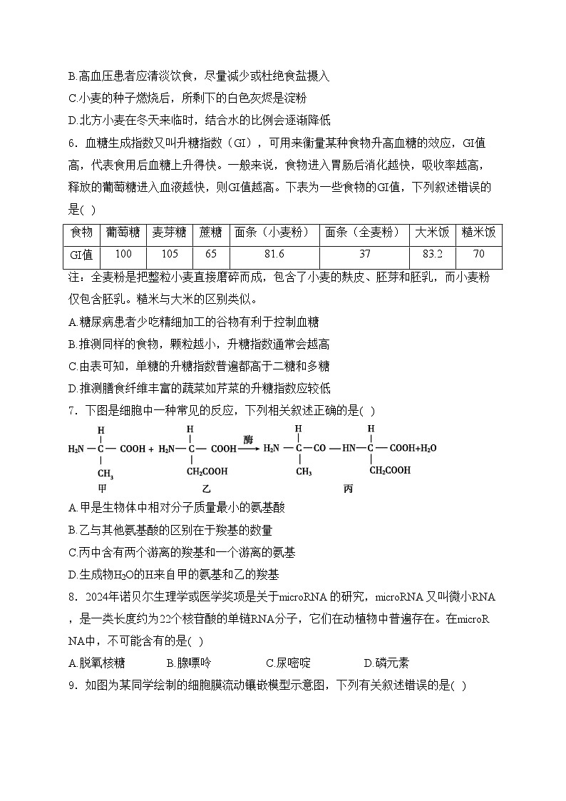 河南省郑州市2024-2025学年高一上学期1月期末考试生物试卷(含答案)第2页