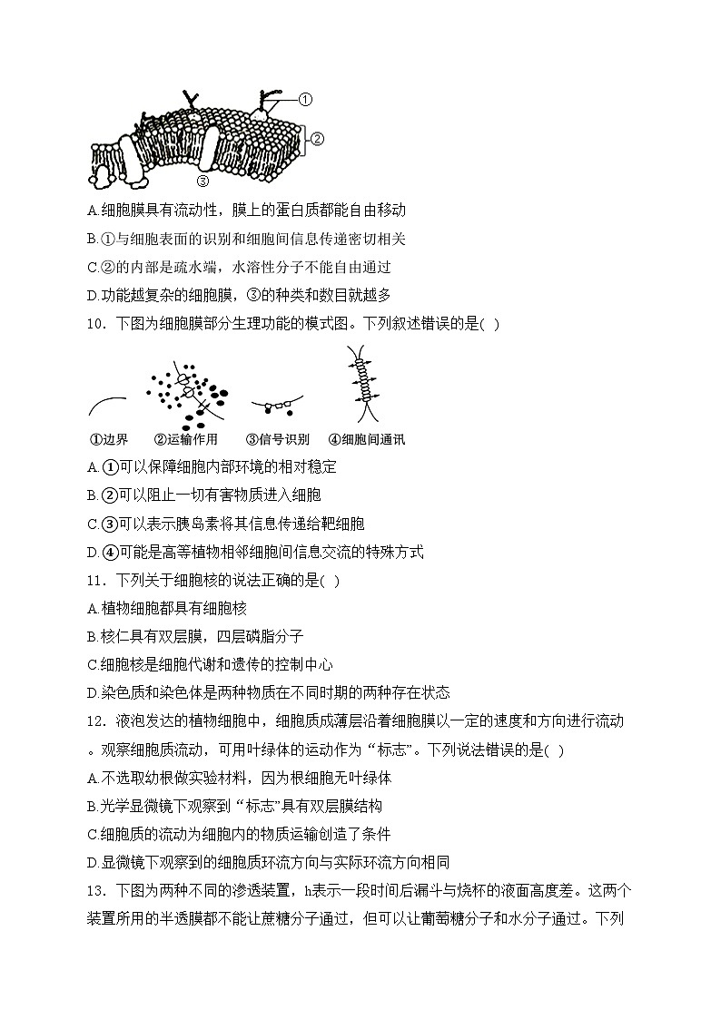 河南省郑州市2024-2025学年高一上学期1月期末考试生物试卷(含答案)第3页