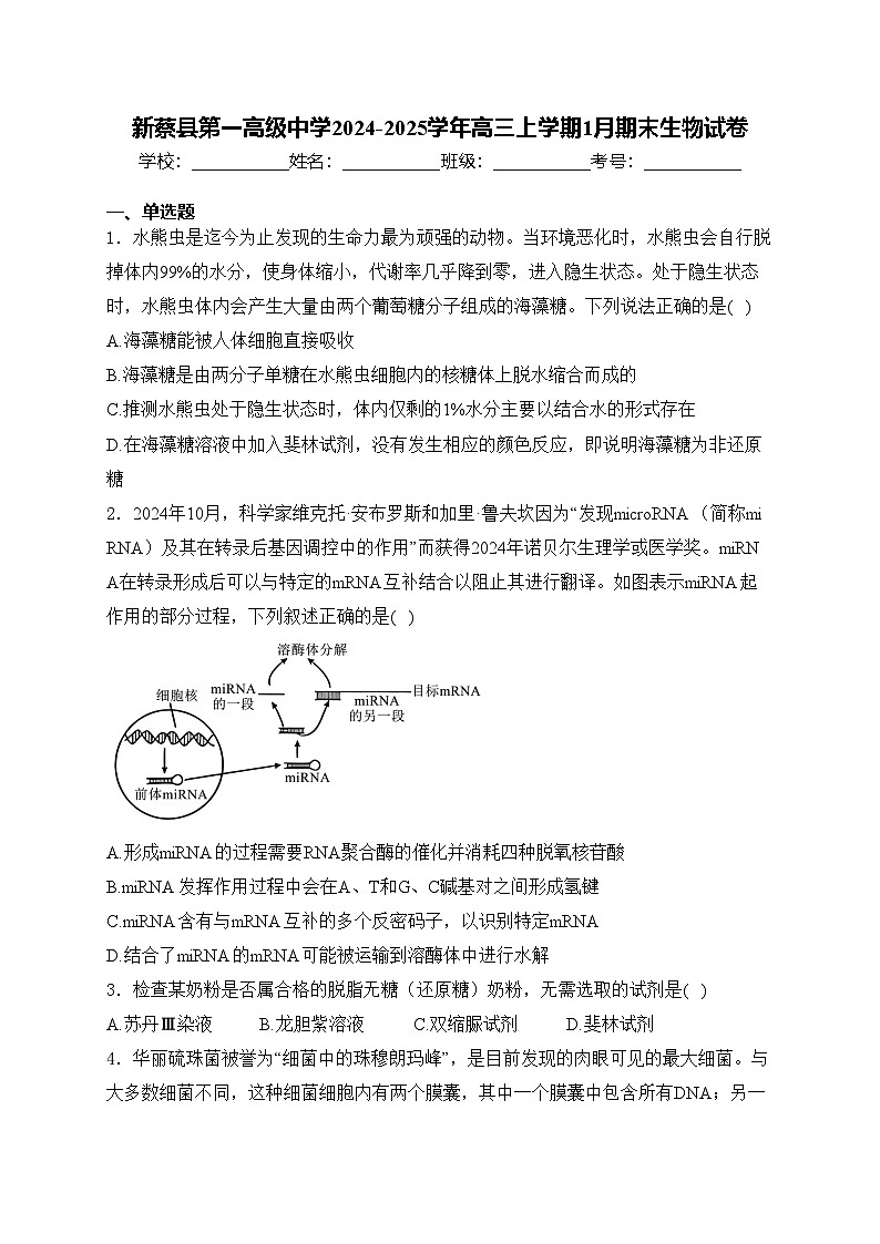 新蔡县第一高级中学2024-2025学年高三上学期1月期末生物试卷(含答案)第1页