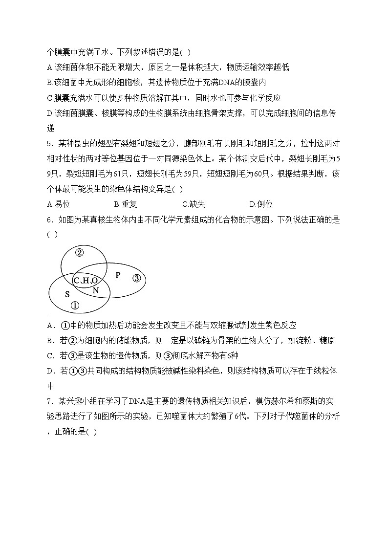 新蔡县第一高级中学2024-2025学年高三上学期1月期末生物试卷(含答案)第2页