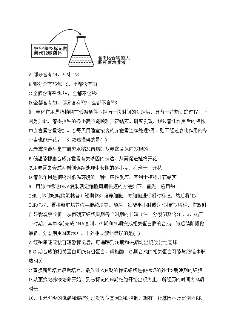 新蔡县第一高级中学2024-2025学年高三上学期1月期末生物试卷(含答案)第3页