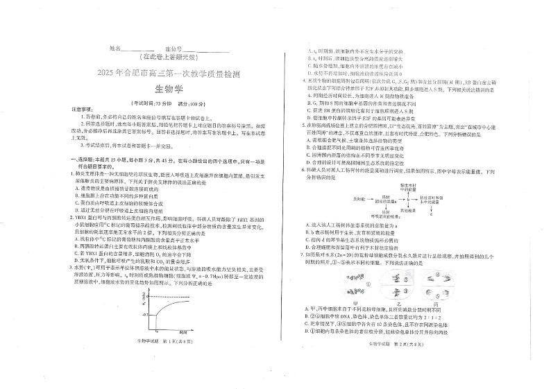 安徽省合肥市2024—2025学年高三上学期期末检测生物试题第1页