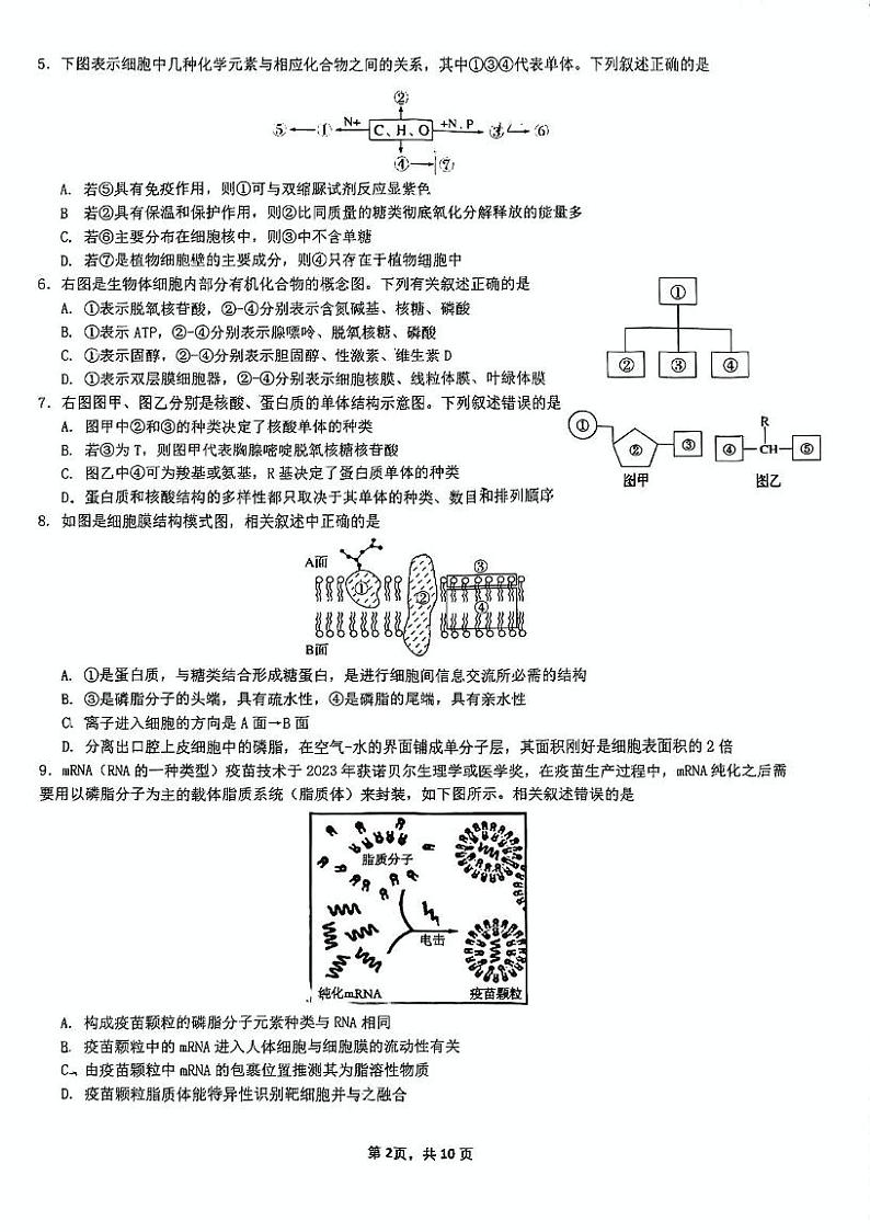 广东省广州市第二中学2024-2025学年高一上学期期末生物试卷第2页