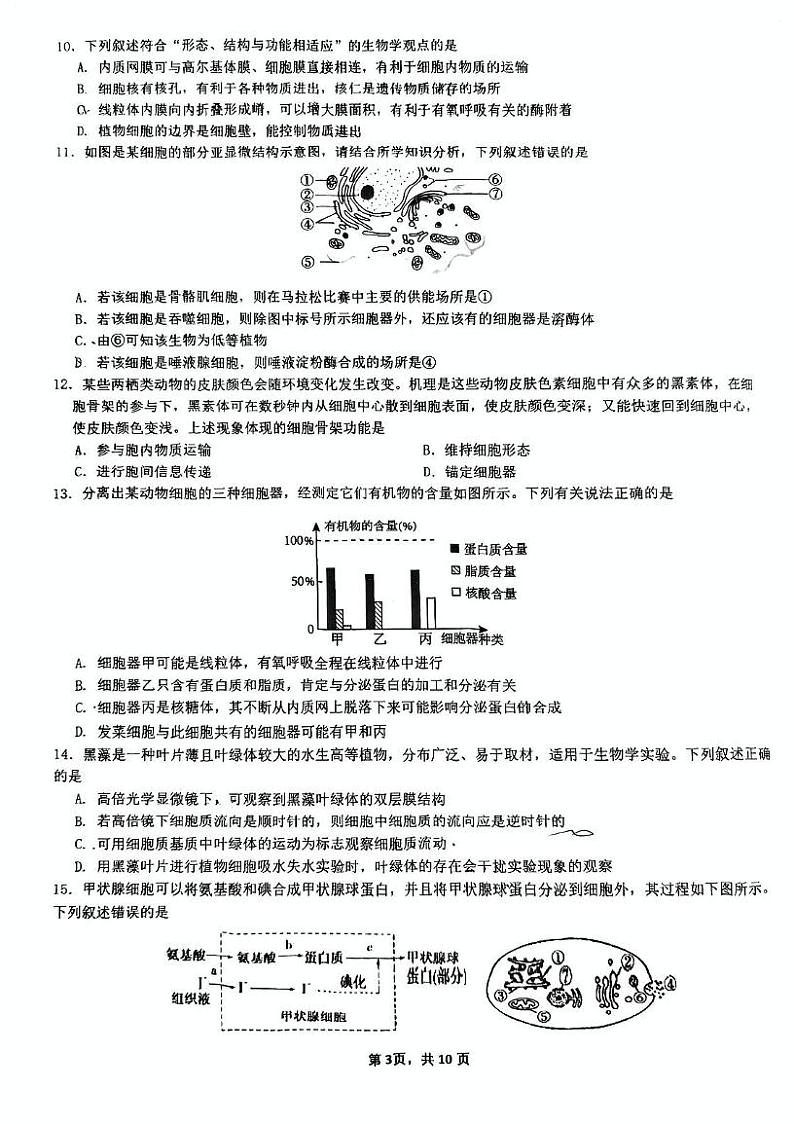 广东省广州市第二中学2024-2025学年高一上学期期末生物试卷第3页