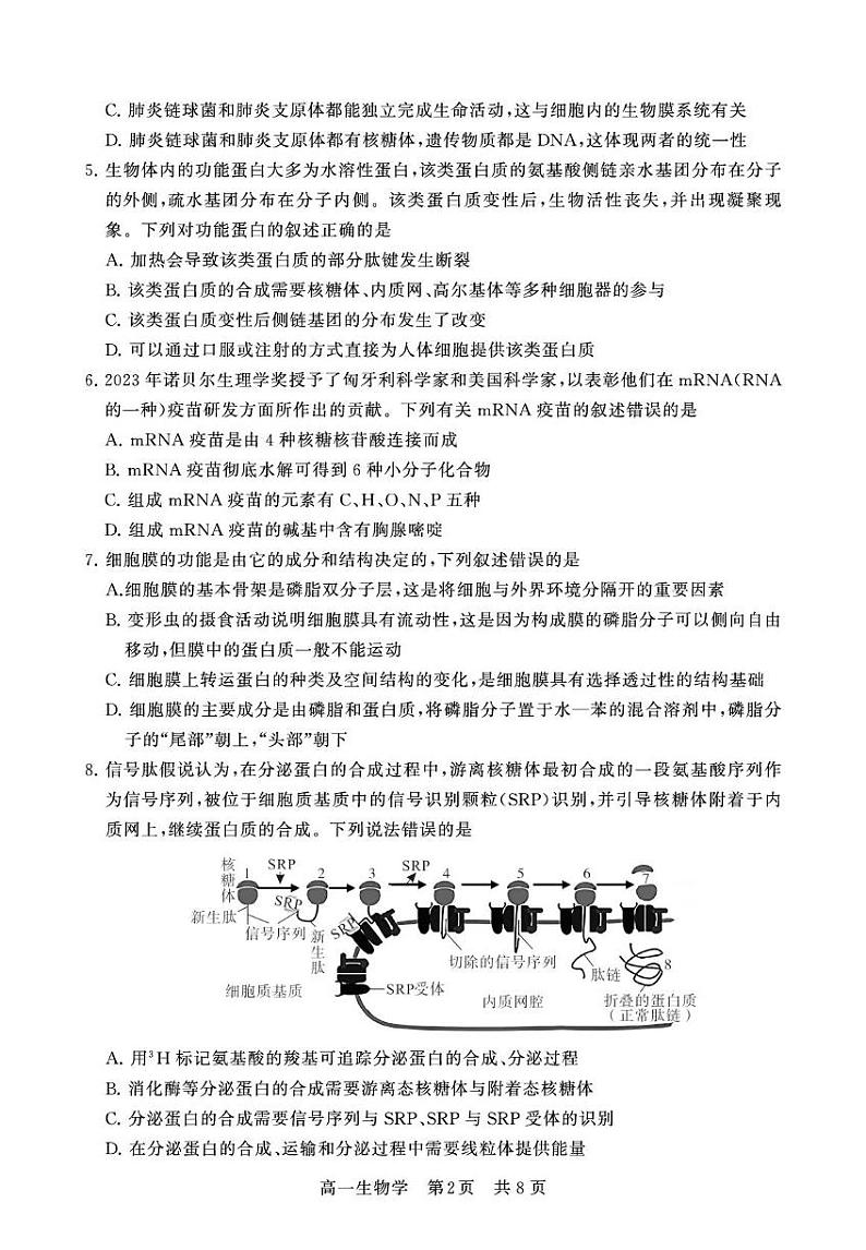 湖北省荆州市2024-2025学年高一上学期期末生物试题第2页