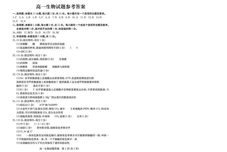 高一生物—答案第1页