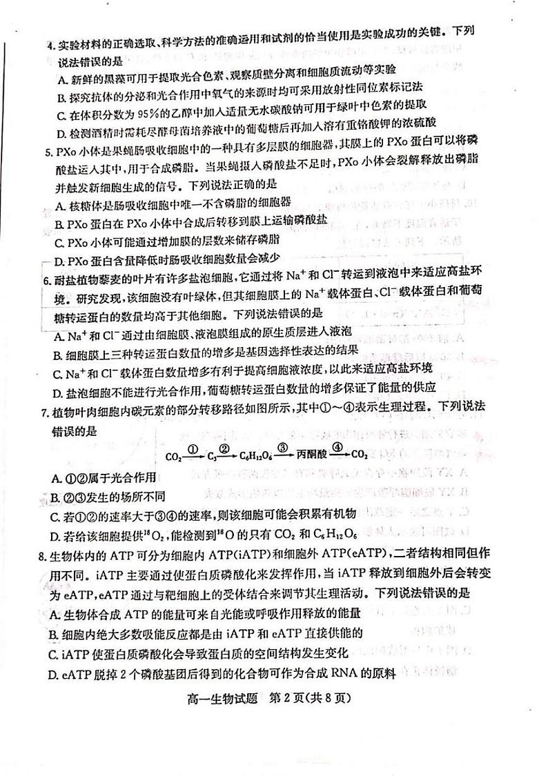 山东省德州市2024-2025学年高一上学期期末考试生物试题第2页