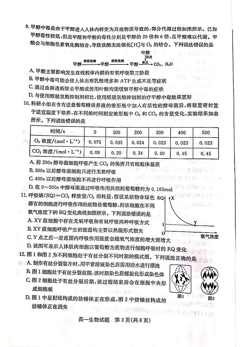 山东省德州市2024-2025学年高一上学期期末考试生物试题第3页