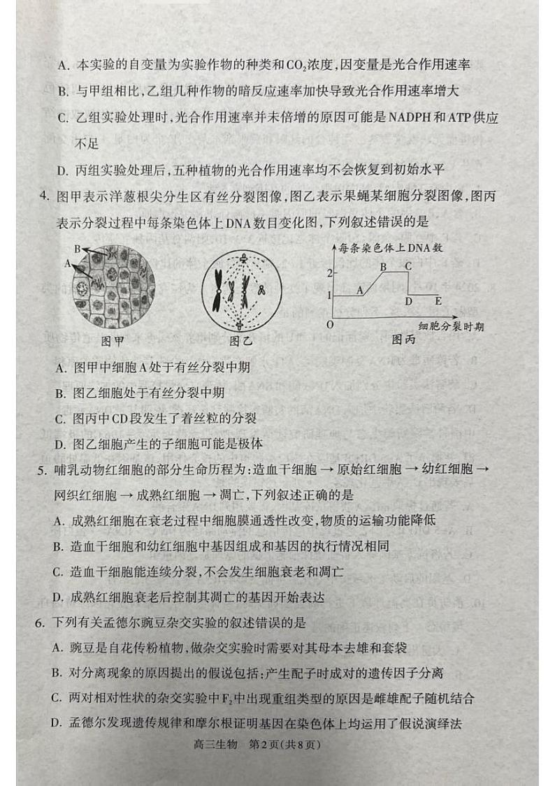 山西省吕梁市2024-2025学年高三上学期期末考试生物试题 山西省吕梁市2024-2025学年高三上学期期末考试生物试题第2页