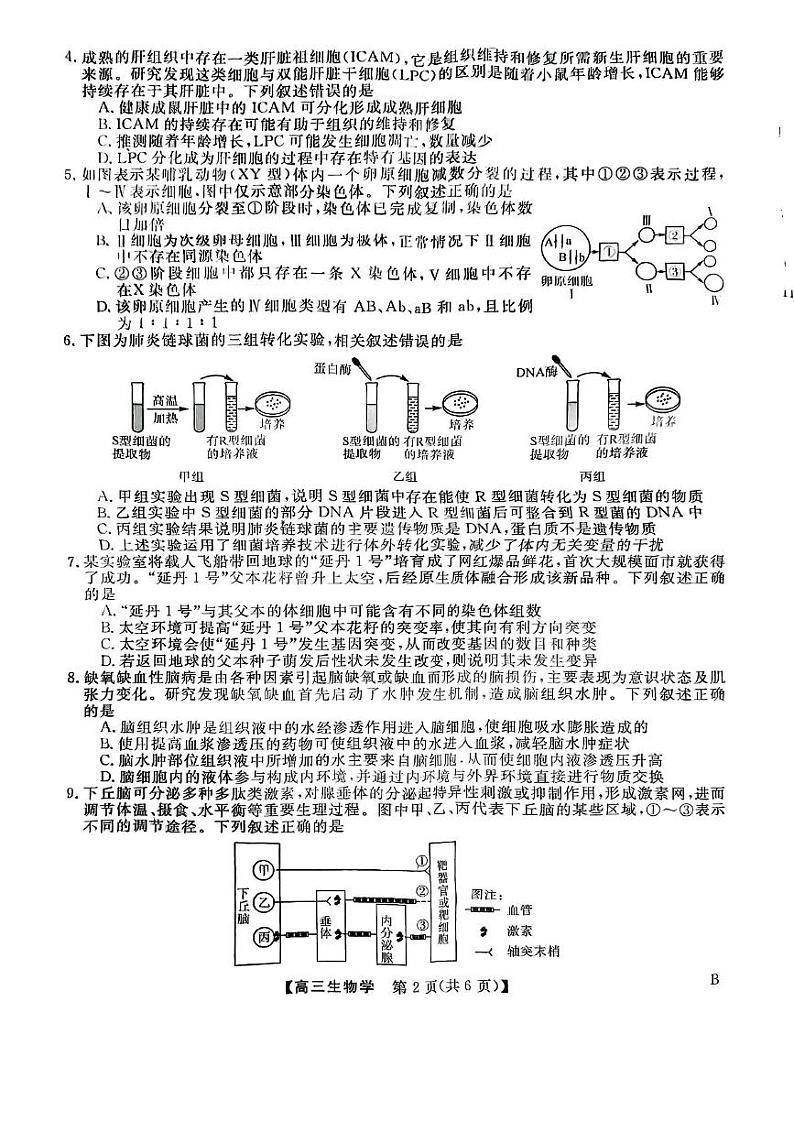山西省朔州市怀仁市第一中学2024-2025学年高三上学期期末生物试题第2页