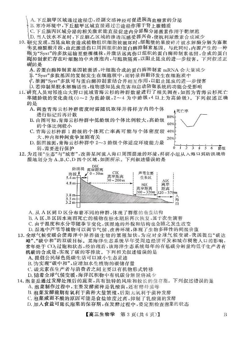 山西省朔州市怀仁市第一中学2024-2025学年高三上学期期末生物试题第3页