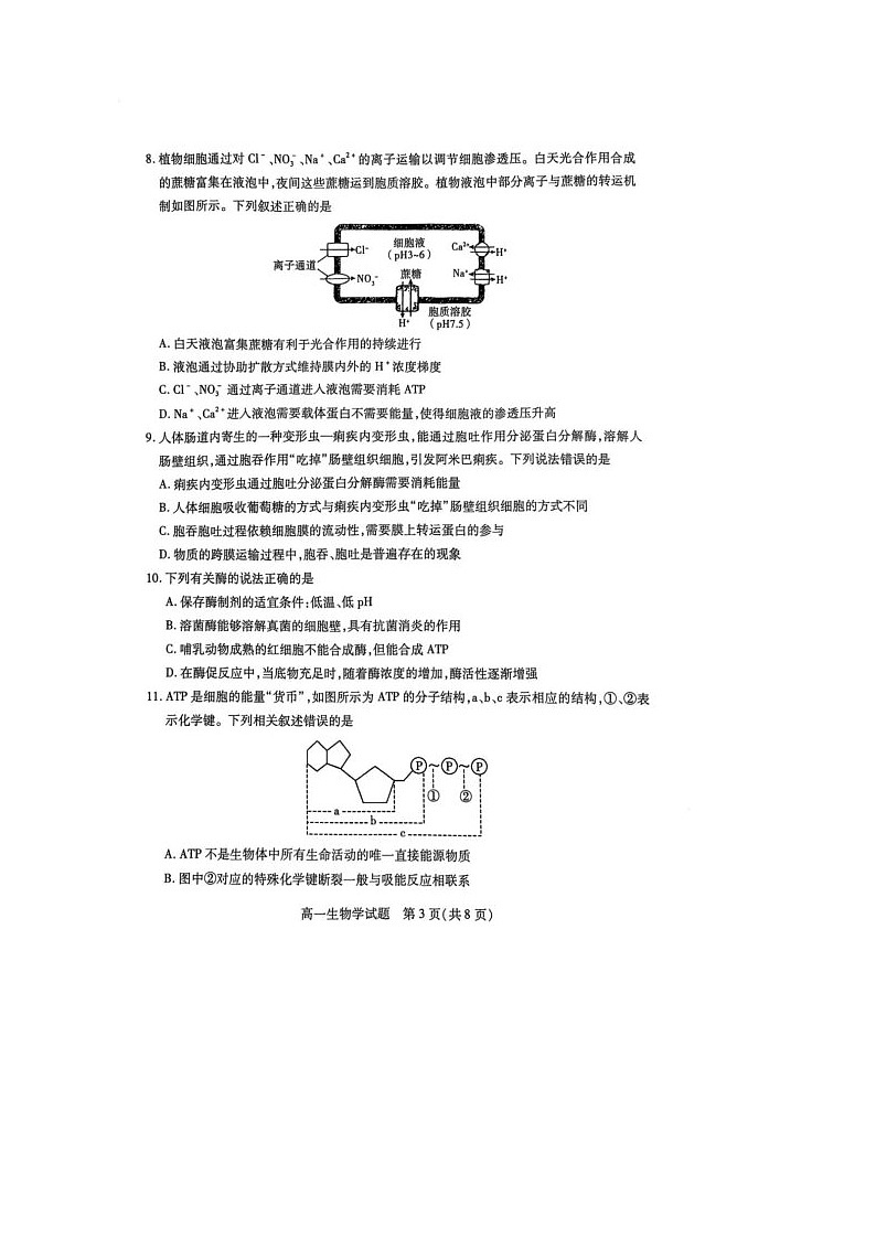 山西省运城市2024-2025学年高一上学期1月期末生物试题第3页