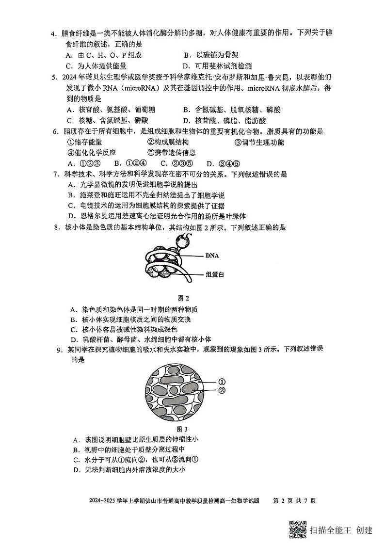 广东省佛山市2024-2025学年高一上学期1月期末考试生物试题第2页