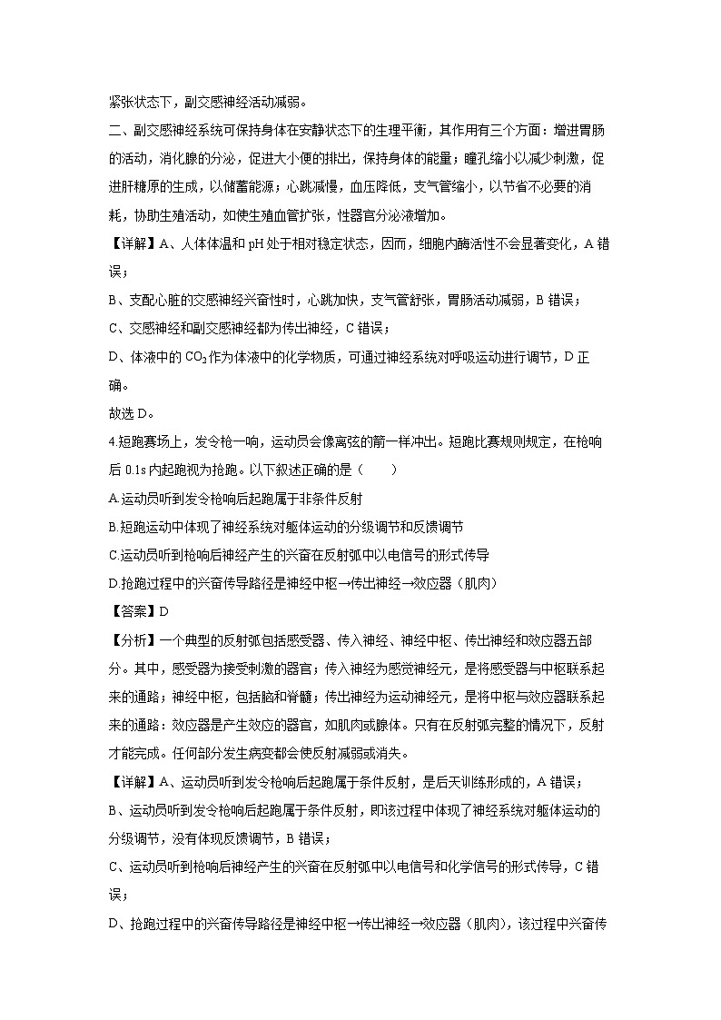 2024-2025学年安徽省A10联盟高二上学期11月期中考试生物试卷(解析版)第3页