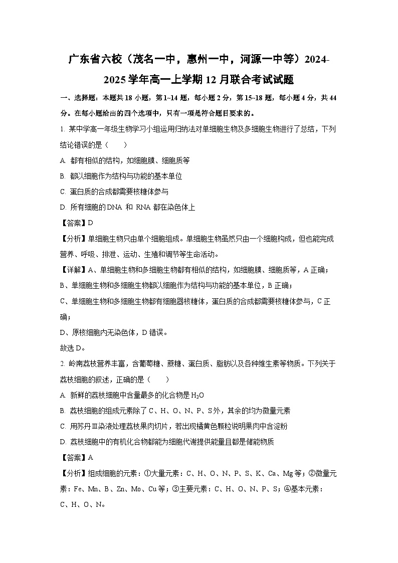 2024-2025学年广东省六校（茂名一中，惠州一中，河源一中等）高一上学期12月联合考试生物试卷（解析版）