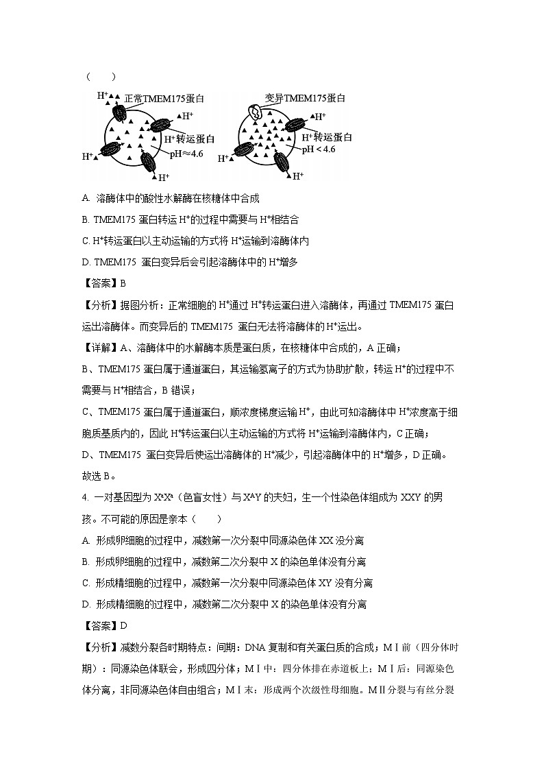 2024-2025学年广东省茂名市化州市高二上学期11月期中生物试卷(解析版)第3页