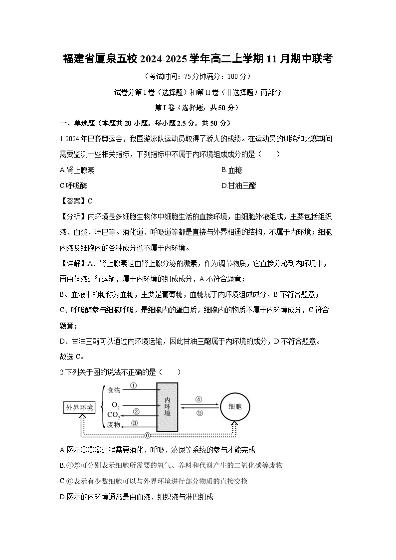 2024-2025学年福建省厦泉五校高二上学期11月期中联考生物试卷（解析版）