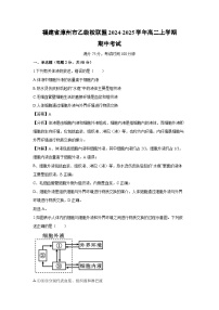 2024-2025学年福建省漳州市乙级校联盟高二上学期期中考试生物试卷（解析版）