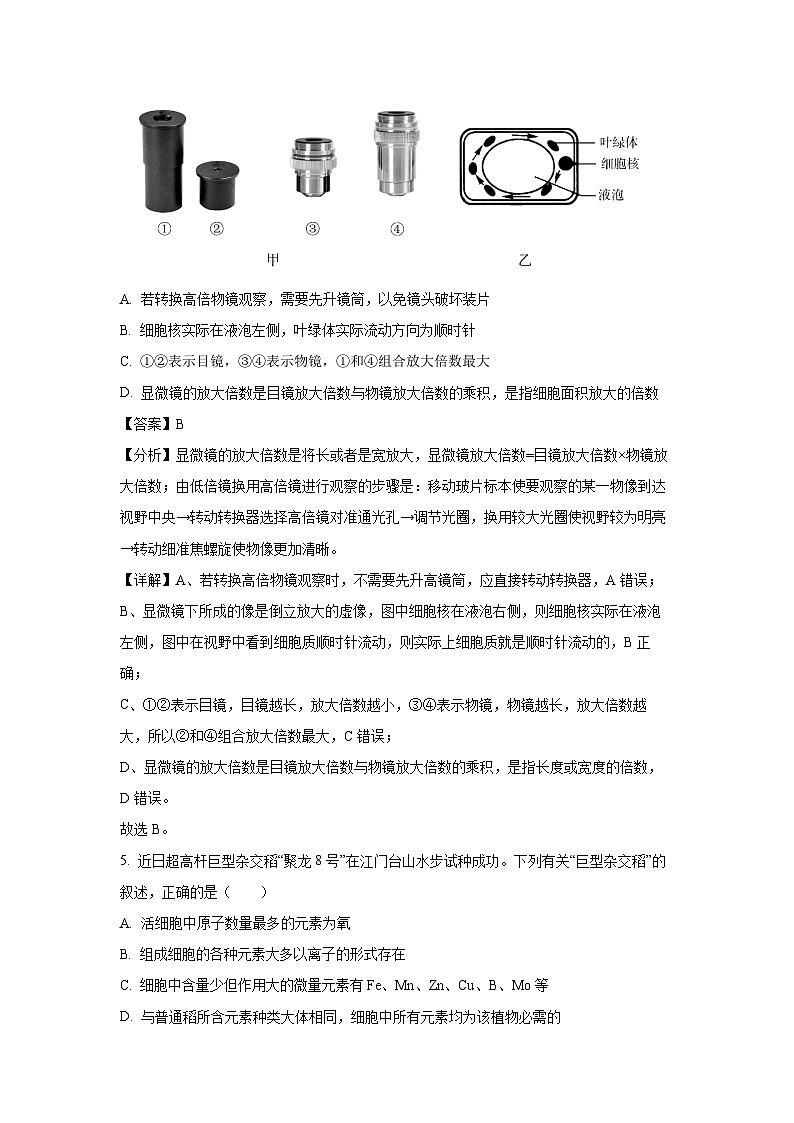 2024-2025學年廣東省八校聯(lián)盟高一上學期教學質(zhì)量檢測（二）月考生物試卷（解析版）第3頁