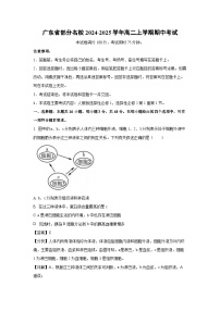 2024-2025學(xué)年廣東省部分名校高二上學(xué)期期中考試生物試卷（解析版）