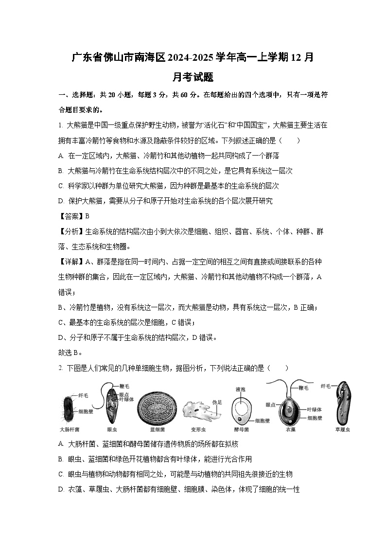 2024-2025学年广东省佛山市南海区高一上学期12月月考生物试卷（解析版）