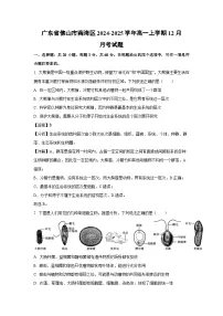 2024-2025学年广东省佛山市南海区高一上学期12月月考生物试卷(解析版)
