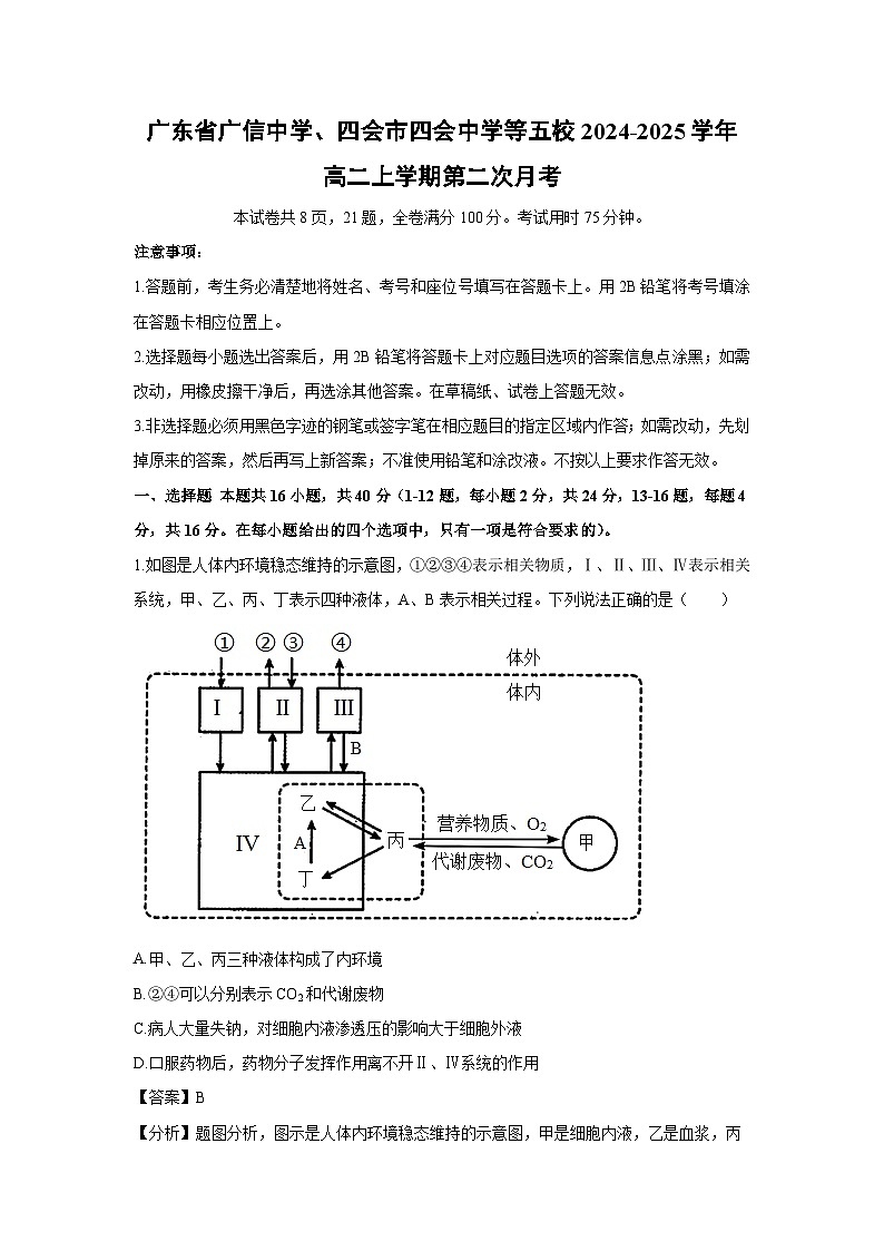 2024-2025学年广东省广信中学、四会市四会中学等五校高二上学期第二次月考生物试卷(解析版)第1页