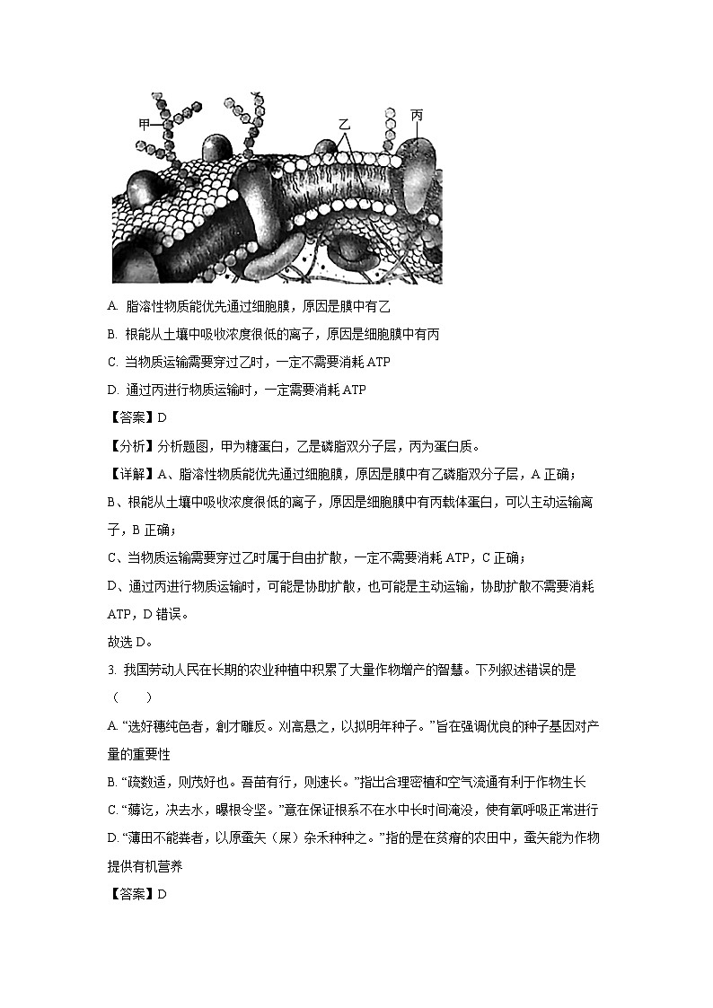 2024-2025学年广东省惠州市惠东县与深实高中园高三上学期11月月考生物试卷(解析版)第2页