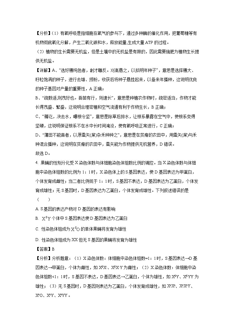 2024-2025学年广东省惠州市惠东县与深实高中园高三上学期11月月考生物试卷(解析版)第3页