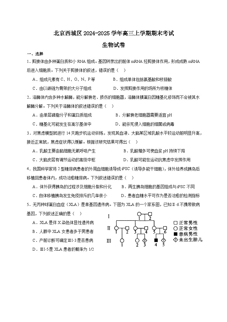2025北京西城区高三上学期期末考试生物含答案第1页
