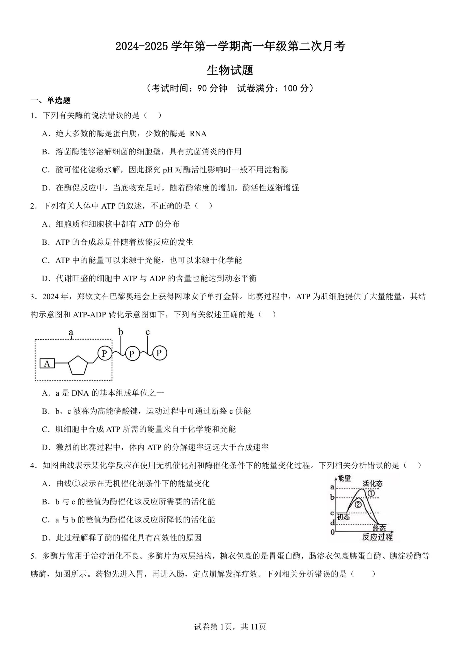 山东省聊城市临清市实验高级中学2024-2025学年高一上学期12月考试生物试题